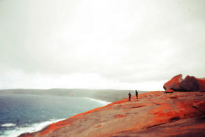 This award-winning photo might change Kangaroo...